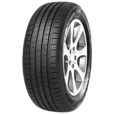 MINERVA F209 225/60 R15 96V