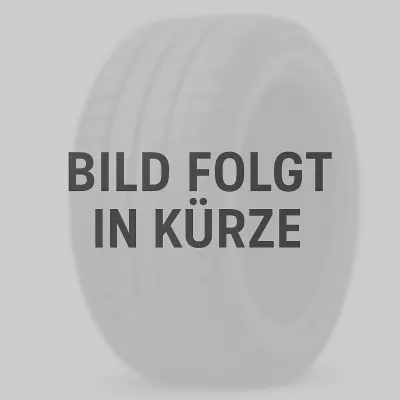 CEAT EnduraDrive A/S ALLWETTER 235/65 R16 121R